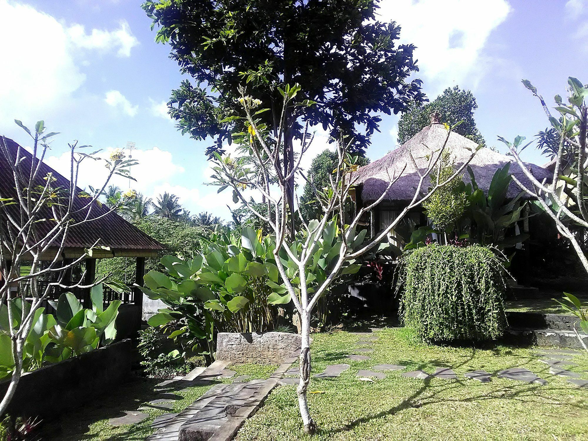 Gasthuis Astawa House