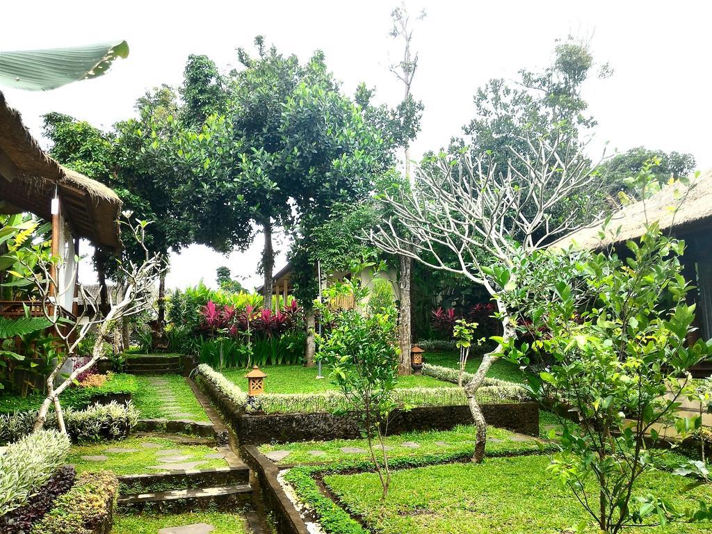 Astawa House Guest house